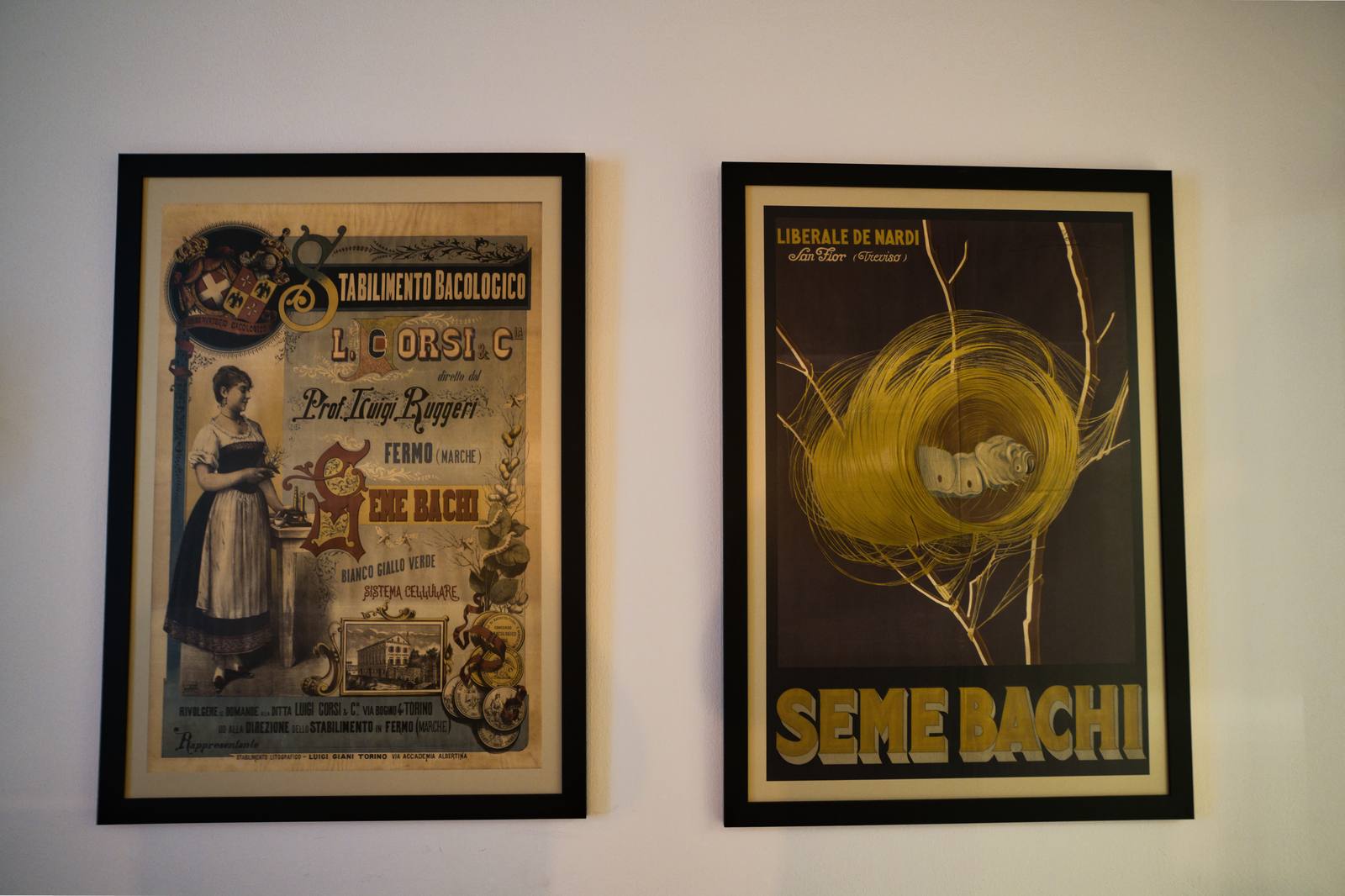 Manifesti storici della bachicoltura al Museo didattico della Seta di Como, memoria della tradizione serica lariana.